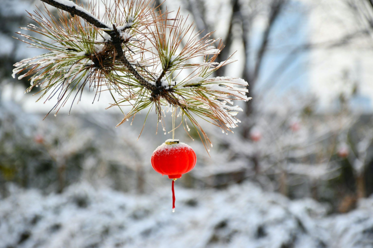 Celebrate Christmas in Japanese Style with Cherry Blossoms and Bubble Tea