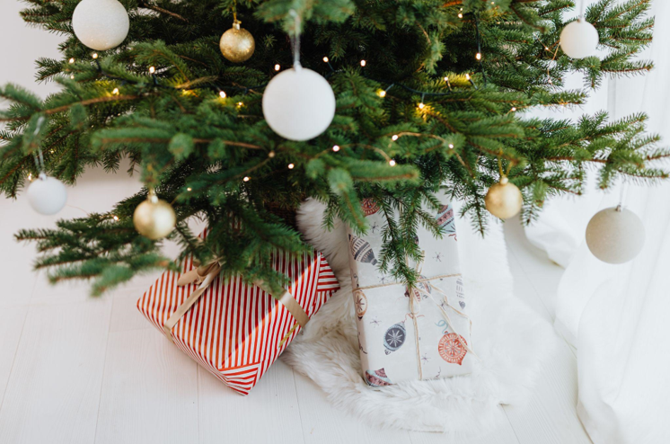 Creating a Pet-Friendly Christmas Setup with a 9ft Flocked Christmas Tree and Tree Skirt